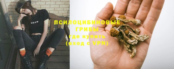 кокаин премиум Белокуриха