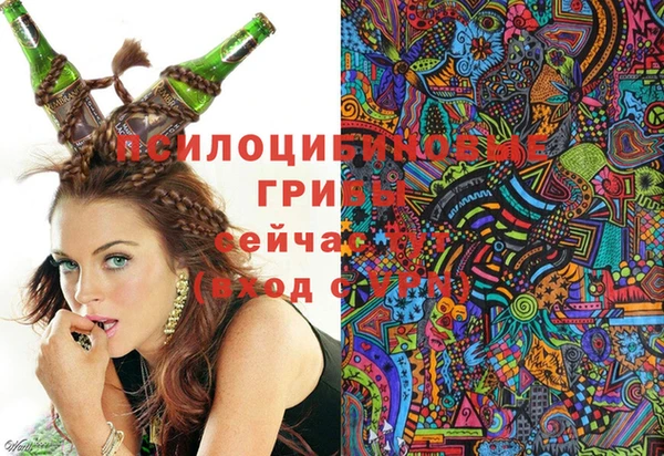 твердый Белоозёрский