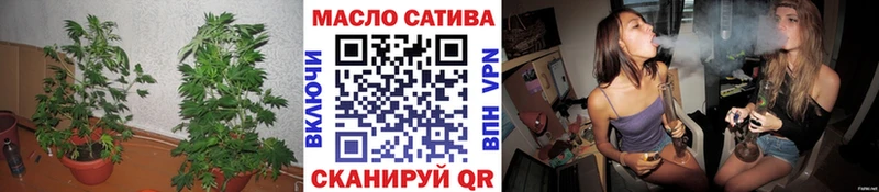 где можно купить   Няндома  Дистиллят ТГК концентрат 
